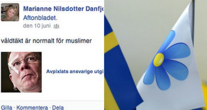 Gotland, Facebook, Sverigedemokraterna, Rasism